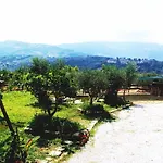 Casale 920