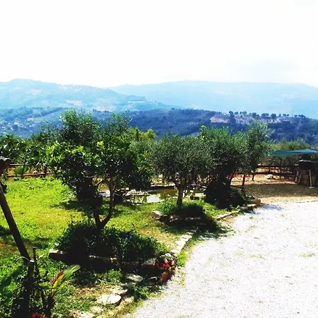 Casale 920