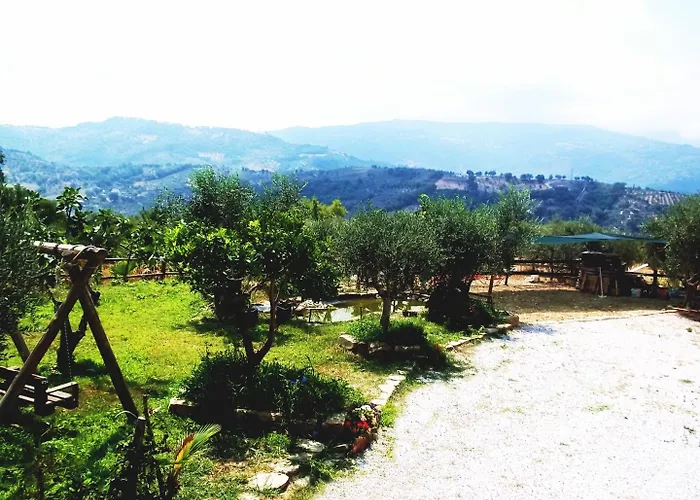 Casale 920